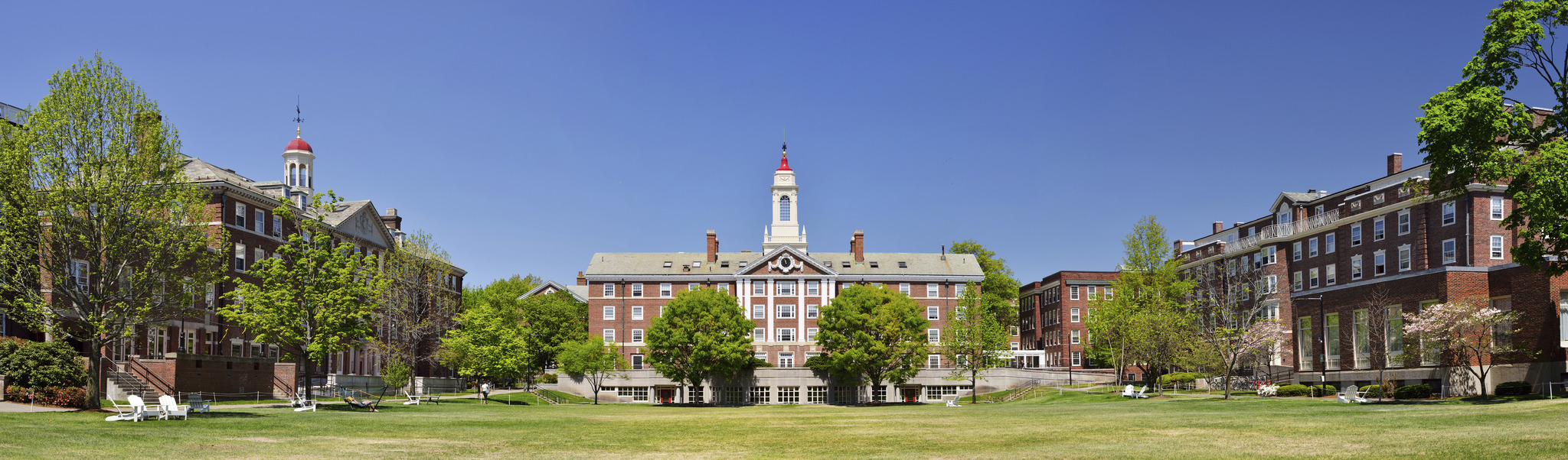 Campus de la Universidad de Harvard.