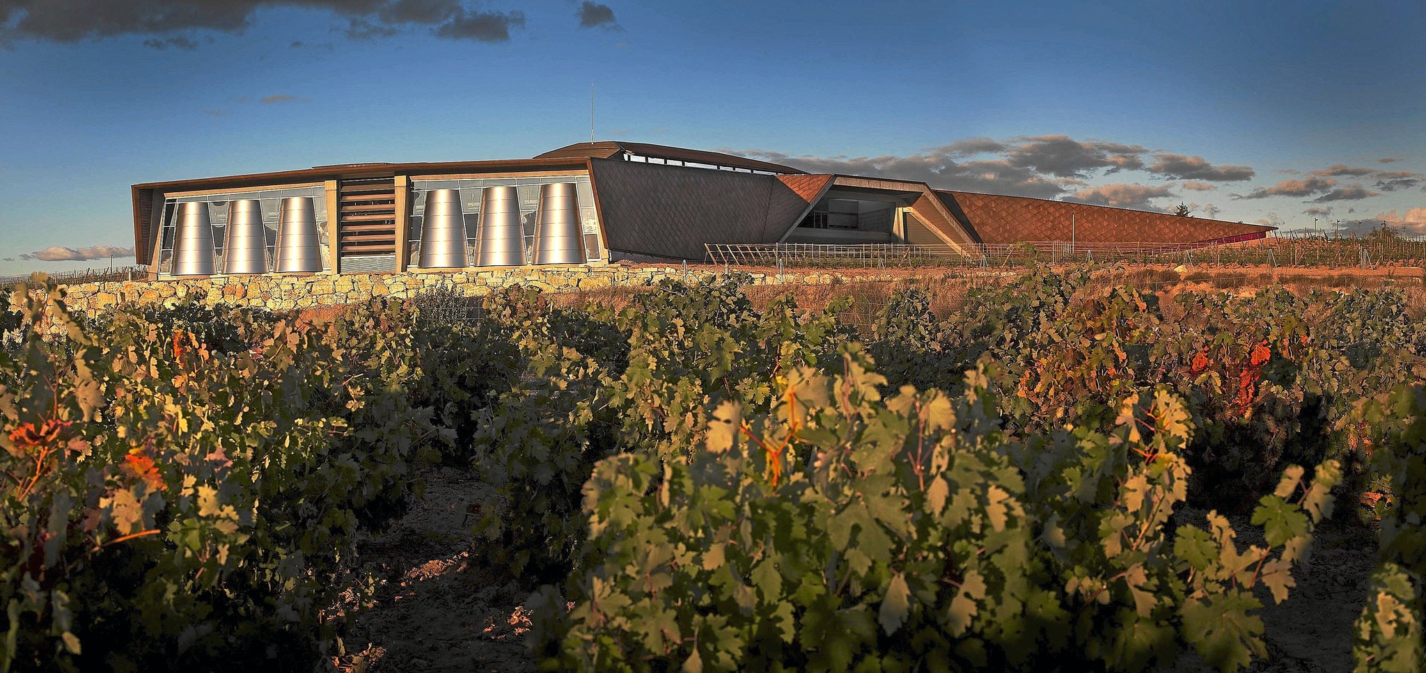 El grupo tiene seis bodegas y elabora vinos en siete denominaciones: Rioja, Ribera del Duero, Navarra, La Mancha, Cava, Rueda y Albariño.