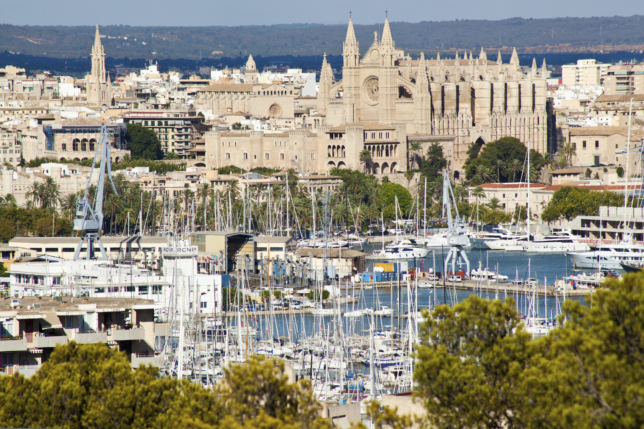 Palma es la capital de las ocho estudiadas con mayor divergencia entre el precio de oferta y el índice.