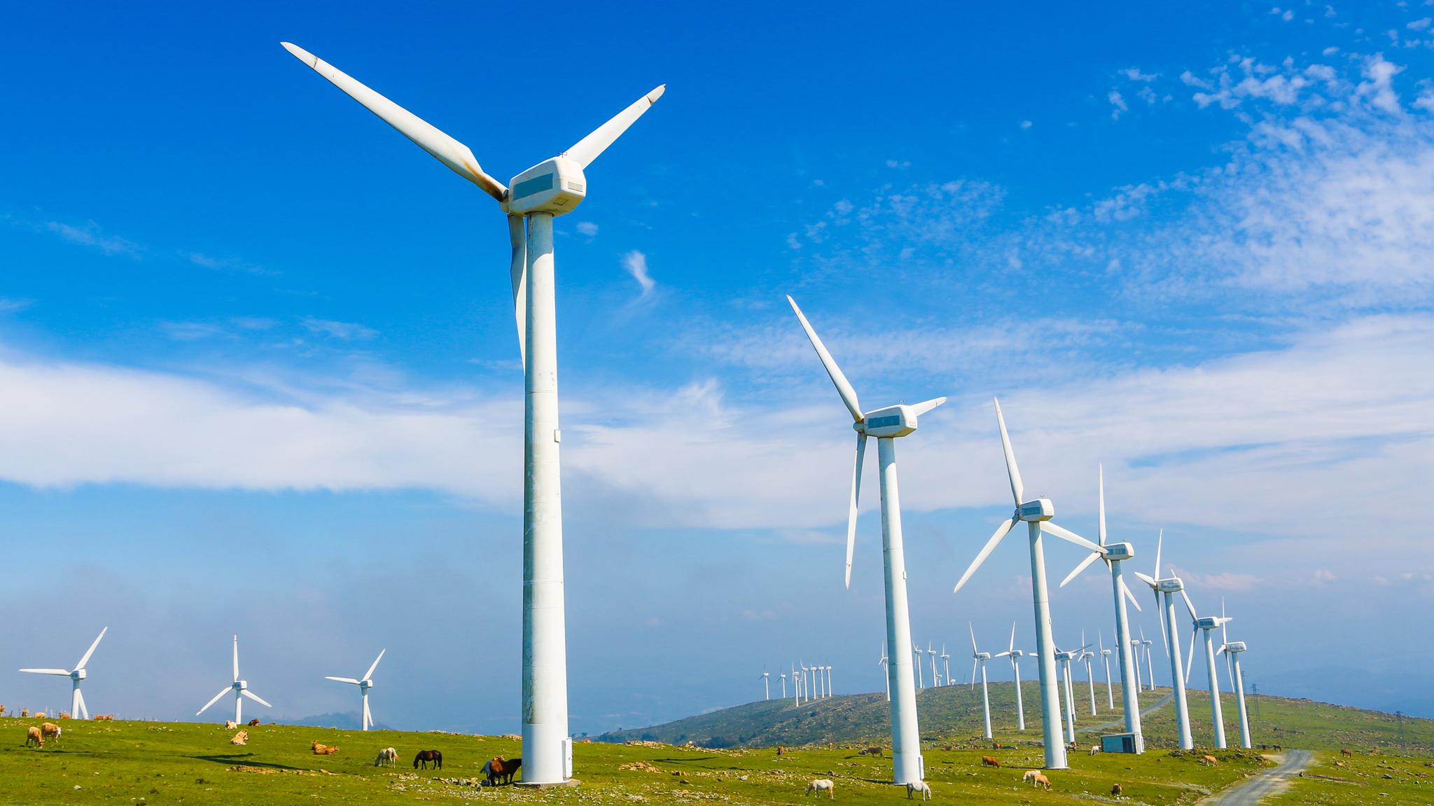 Ya se pierden 1,2 teravatios hora al año de producción de renovables, el triple que en 2021.