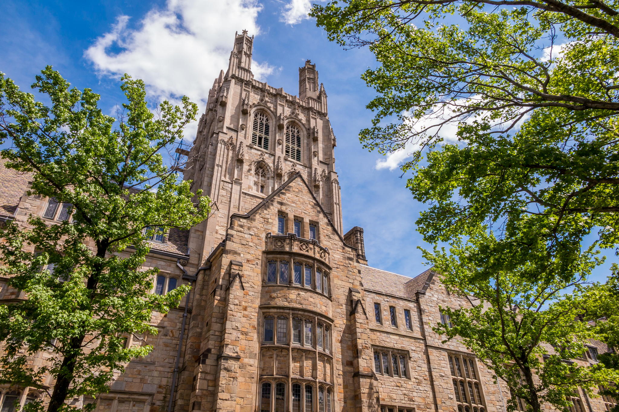 Durante los ltimos 25 aos, las universidades privadas de la lite han seguido el 'modelo de Yale'.