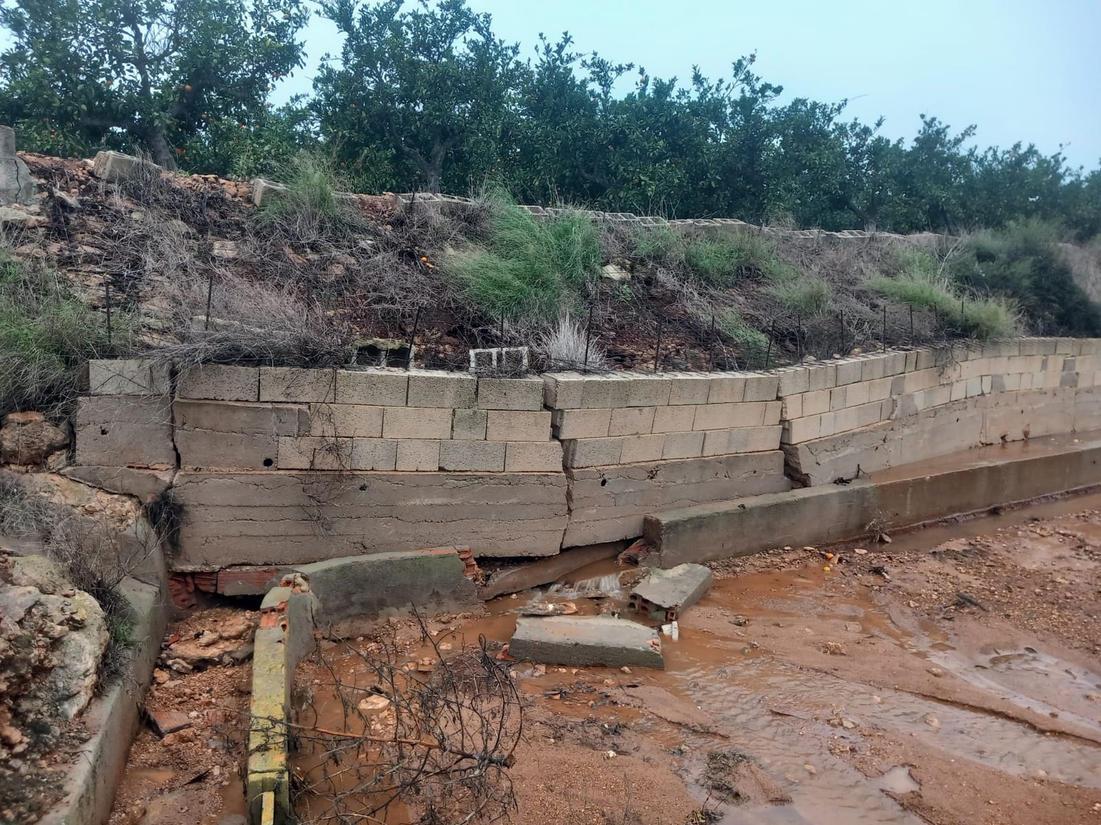 Los agricultores cifran en 819 millones las pérdidas por la DANA en el campo