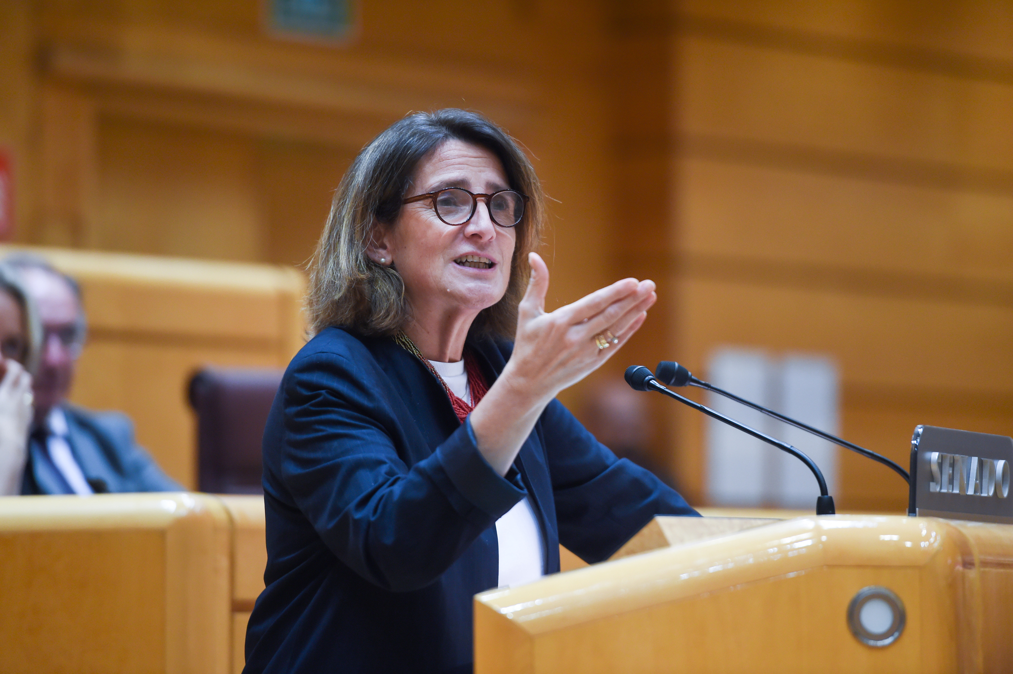 Ribera entona el ‘mea culpa’, pero de Mazón