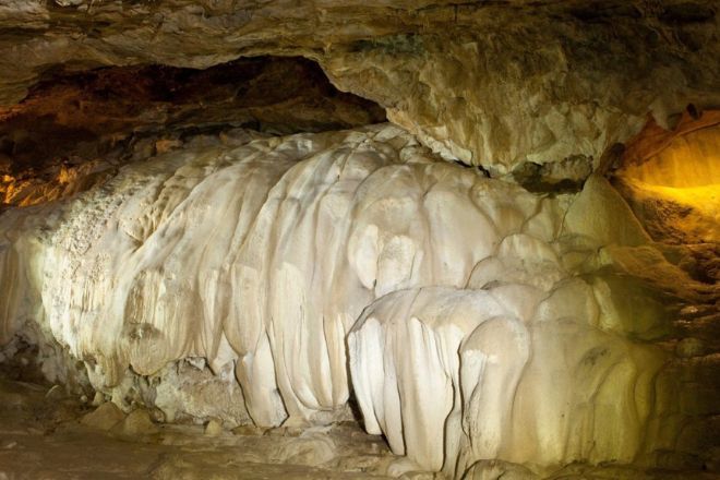 बिअर गुहा