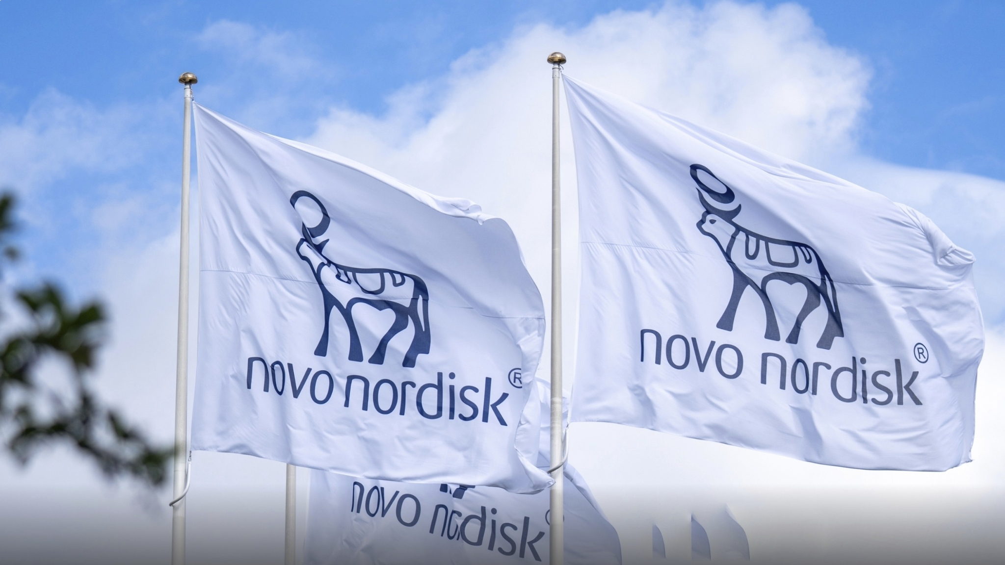 Las acciones de Novo Nordisk se desploman tras el fracaso de un fármaco contra el Alzheimer