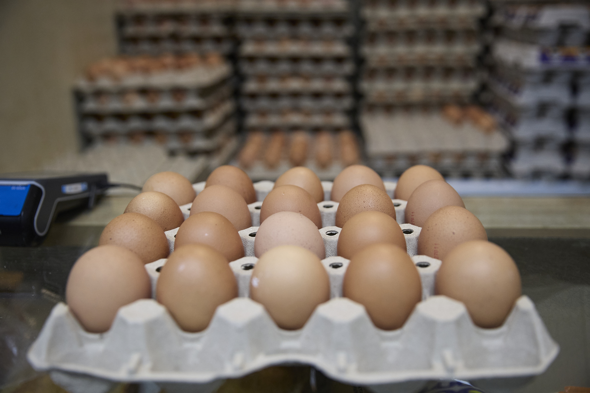 Comprar huevos es un 30% más caro que hace un año y la fruta sube más de un 6% en un mes