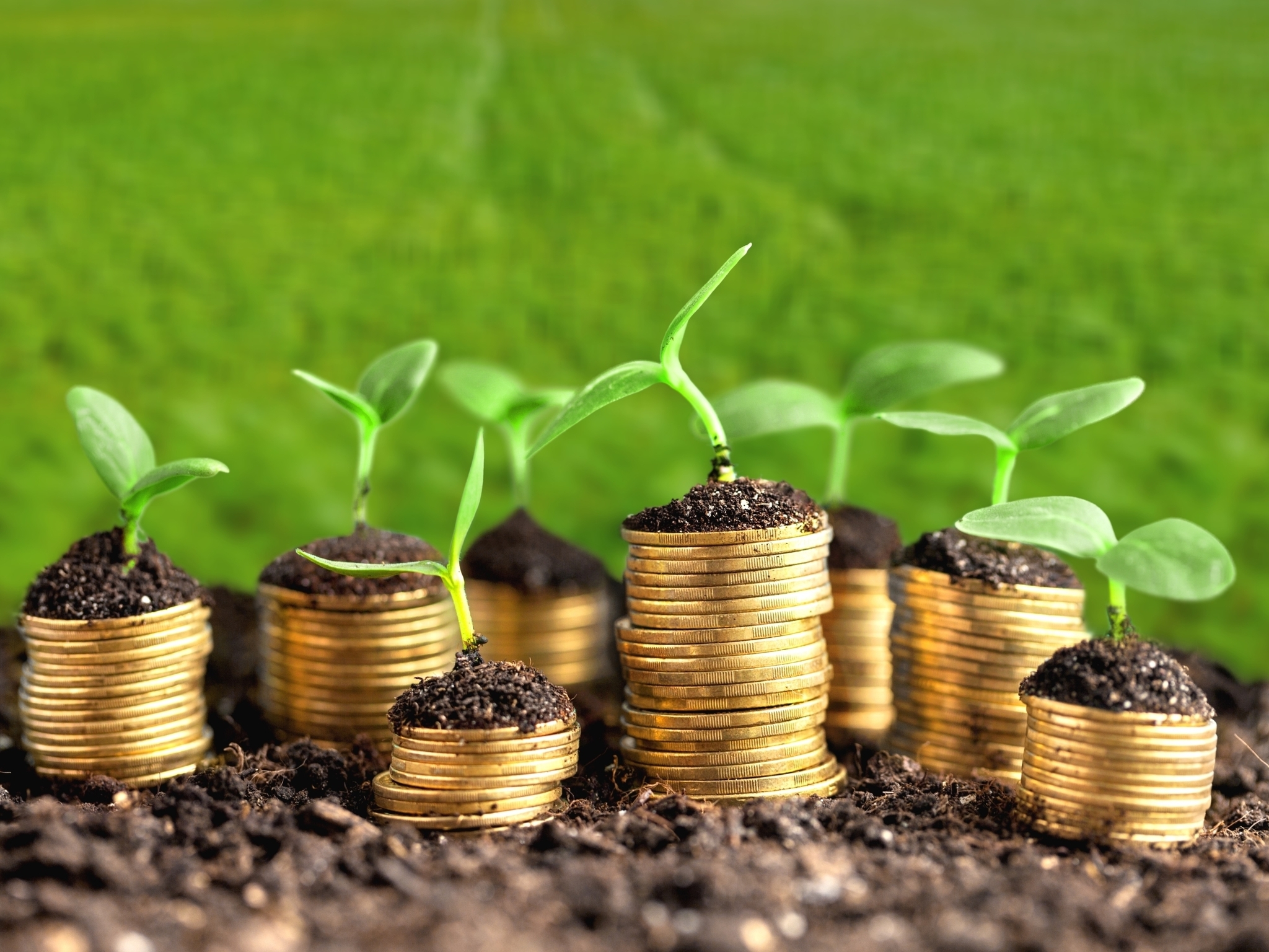 'Value', energía y Latinoamérica: los fondos españoles más rentables