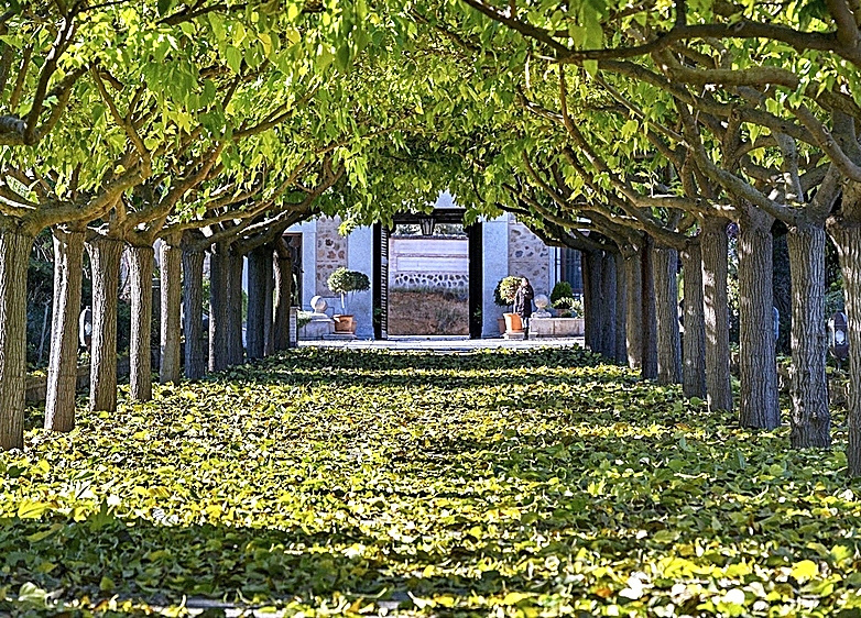 Cómo innova el sector gastronómico
