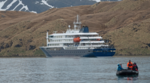 La OMS investiga tres muertes por un brote de hantavirus en un crucero de lujo con destino a Canarias