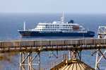 Nuevo caso de hantavirus en un crucero: ¿por qué se ha producido el brote y en qué consiste esta enfermedad?
