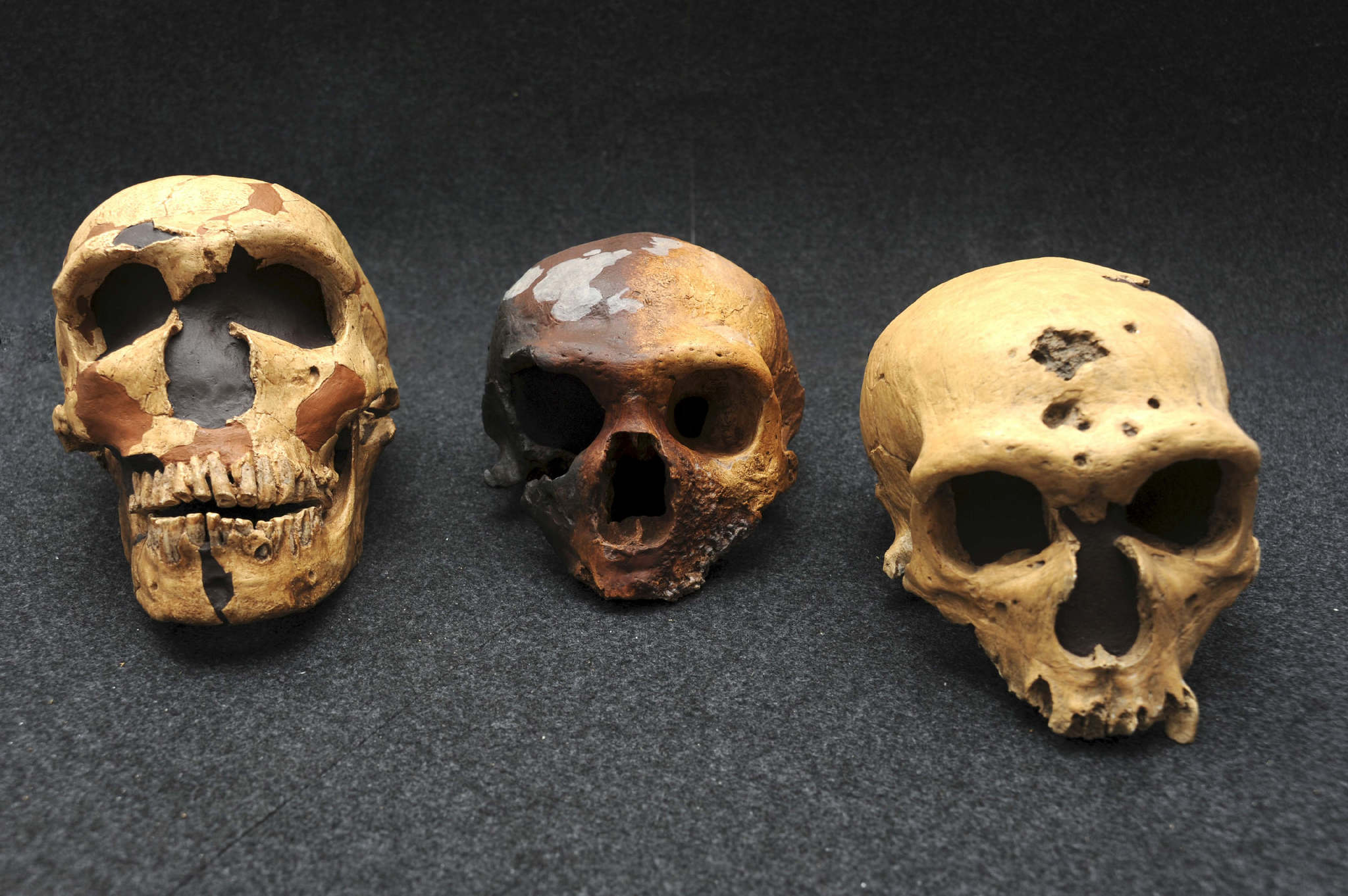 Los neandertales ya iban al 'dentista' hace 59.000 años