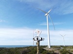 IdentiFlight, aerogeneradores inteligentes que salvan aves protegidas