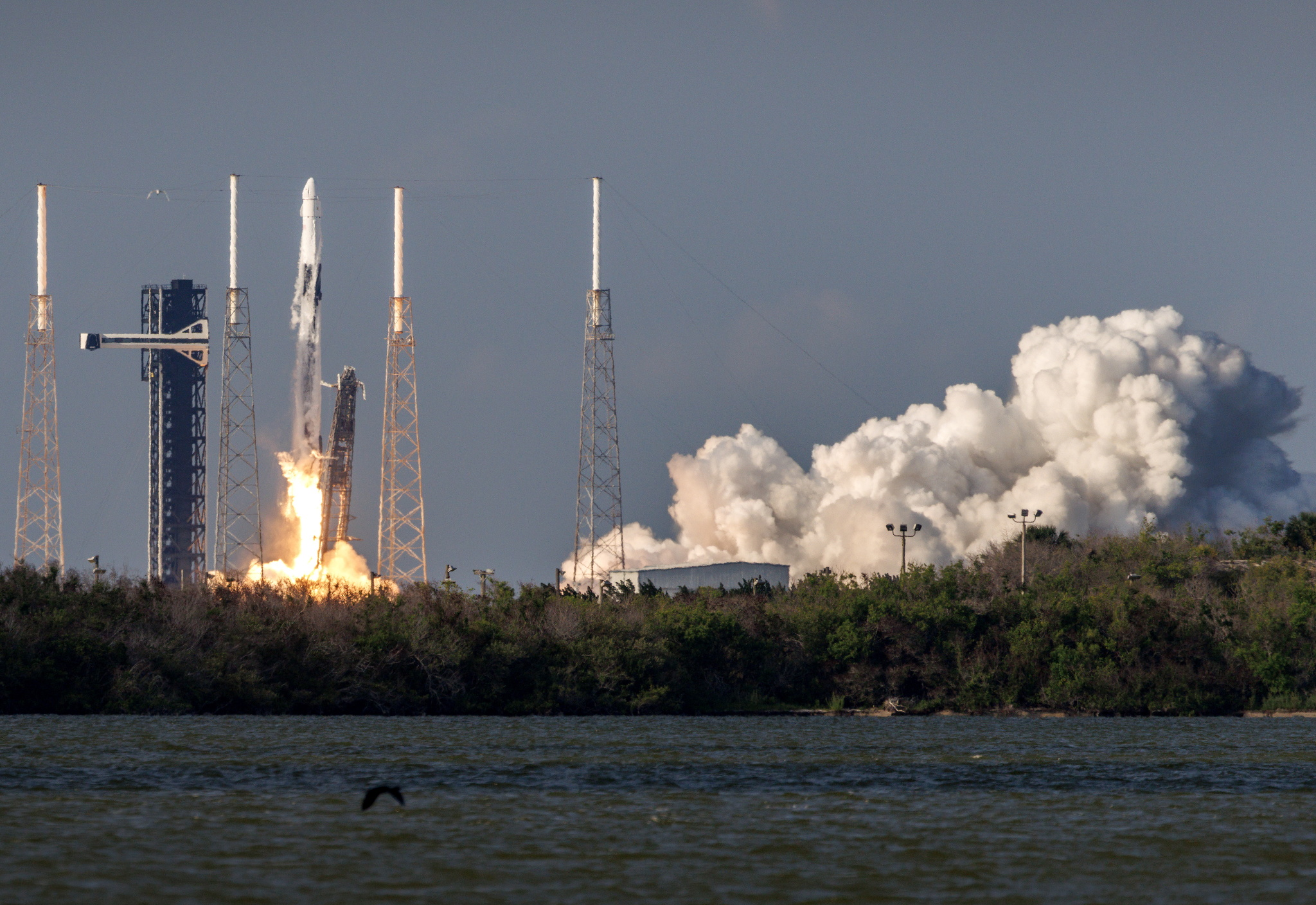 Los inversores se apresuran a adquirir exposición a SpaceX antes de su OPV