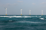 Siete estados demandan a EEUU por obligar a TotalEnergies a abandonar la energía eólica