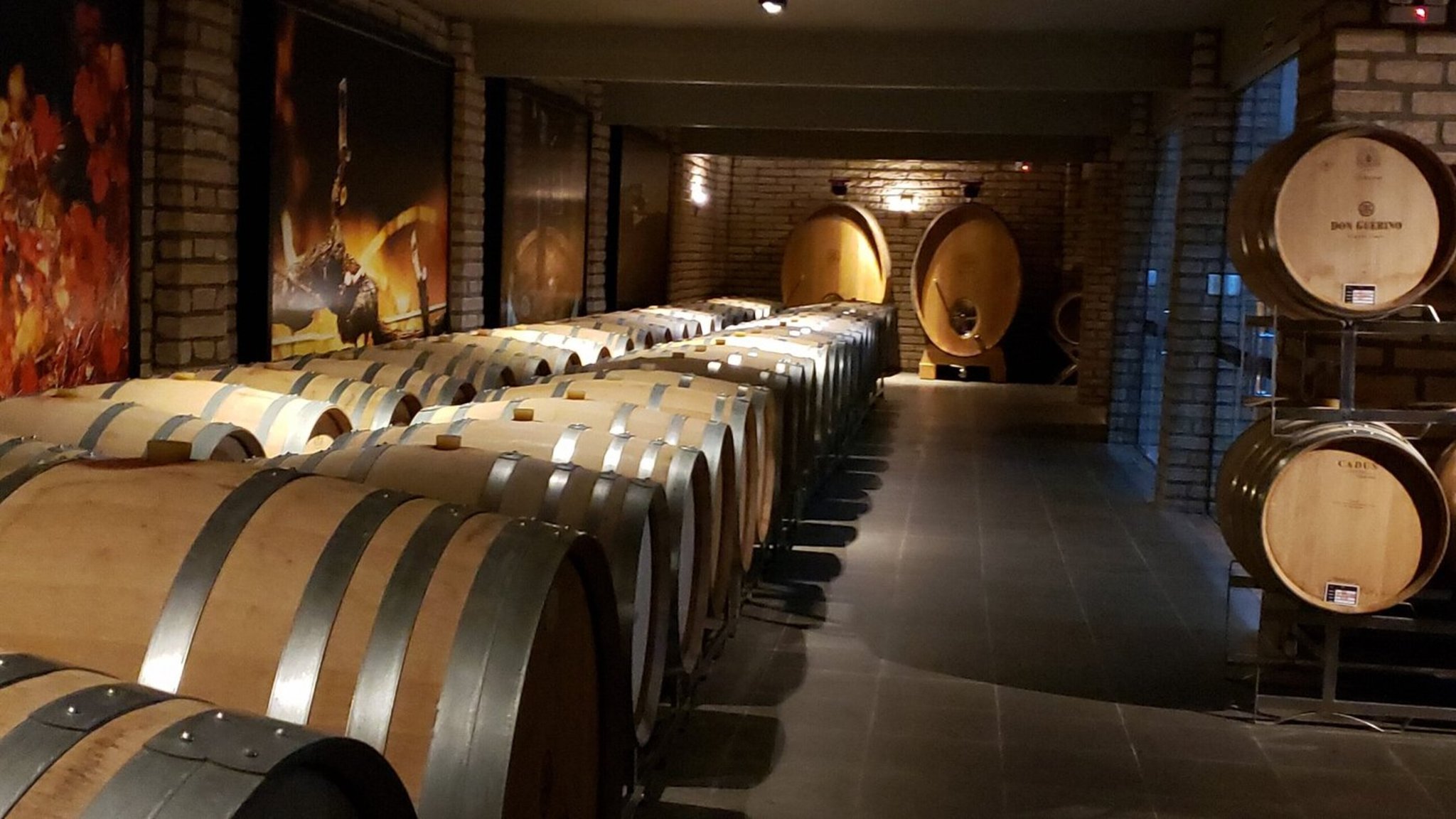 El vino brasileño aspira a cobrar protagonismo en la escena 