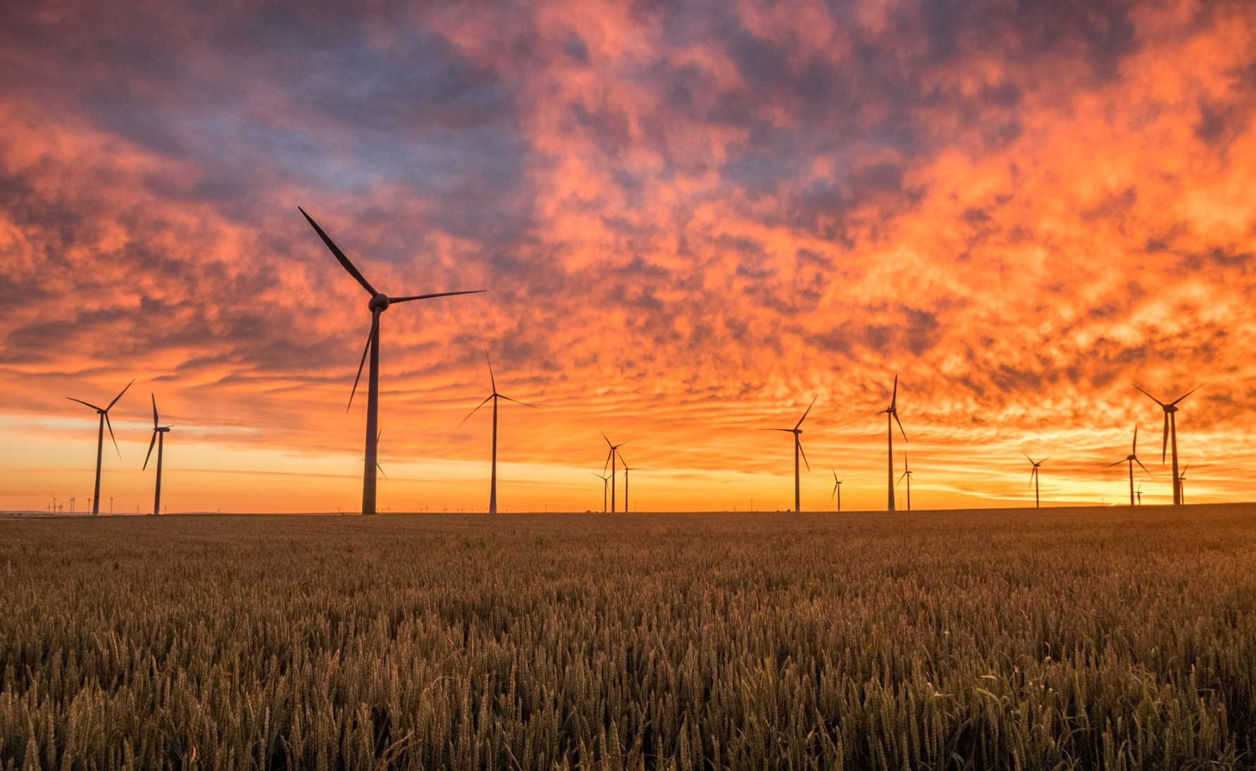 Sequías de viento: la amenaza para la energía eólica y la sa