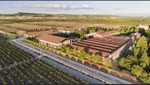 Así funciona el cotizado mercado de los 'fine wines'