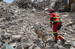 Exteriores eleva a 26 los españoles fallecidos y a 150 los desaparecidos por los terremotos en Venezuela