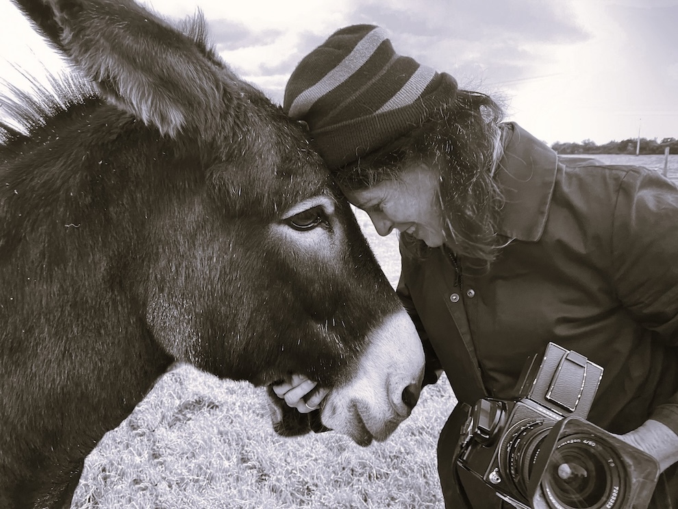 La fotógrafa que transforma a los animales en personas (¿o al revés?)