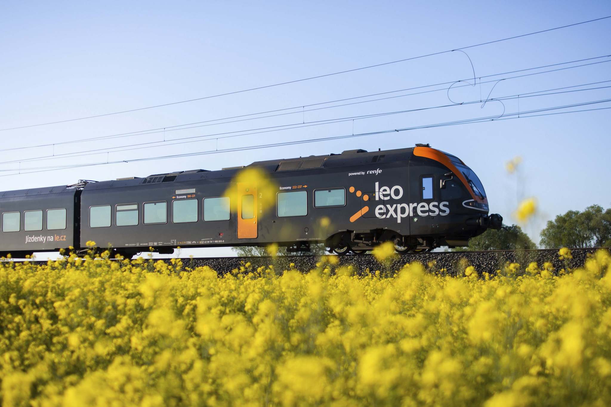 Leo Express (Renfe) aumenta un 5% sus ingresos y espera alcanzar los 6 millones de pasajeros este año