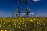 Iberdrola, BBVA y Telefónica: los bonos verdes ya son clave en la renta fija global