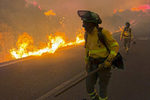 Once muertos y ocho heridos, cuatro graves, en un incendio forestal de Los Gallardos (Almería)