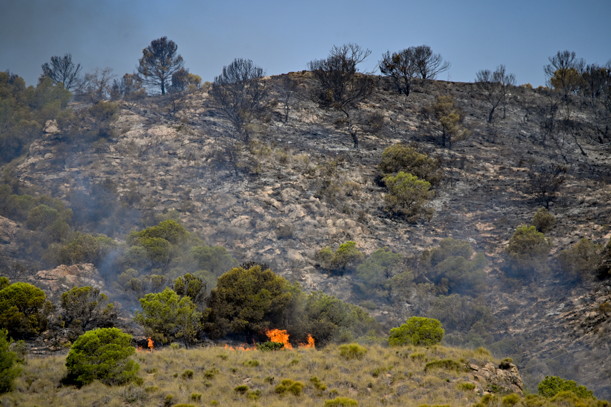 El incendio de Los Gallardos está estabilizado y autorizan el regreso de los evacuados Los trabajos para extinguir el incendio siguen mientras se asegura el perímetro. Leer