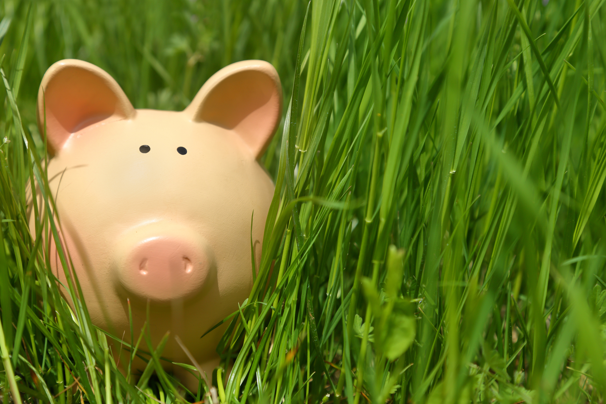 Qué banco te da más dinero si tienes 5.000 euros ahorrados