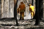 Australia replantea su estrategia contra los incendios forestales después del 'Verano Negro'