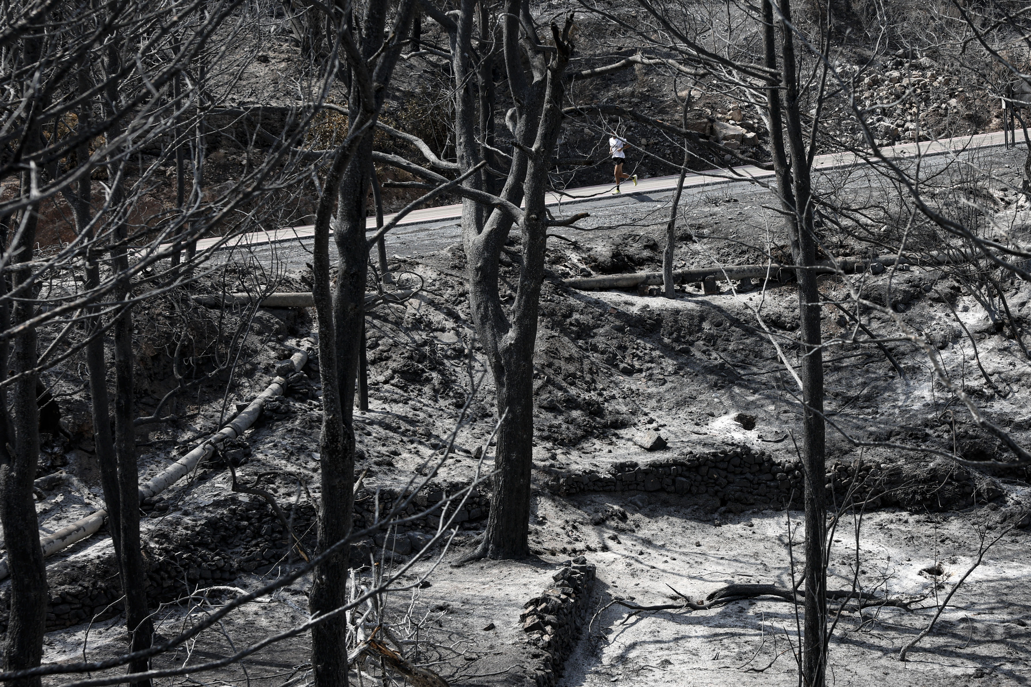Los costes de los incendios forestales en Europa superan ya los 3.000 millones de euros este año