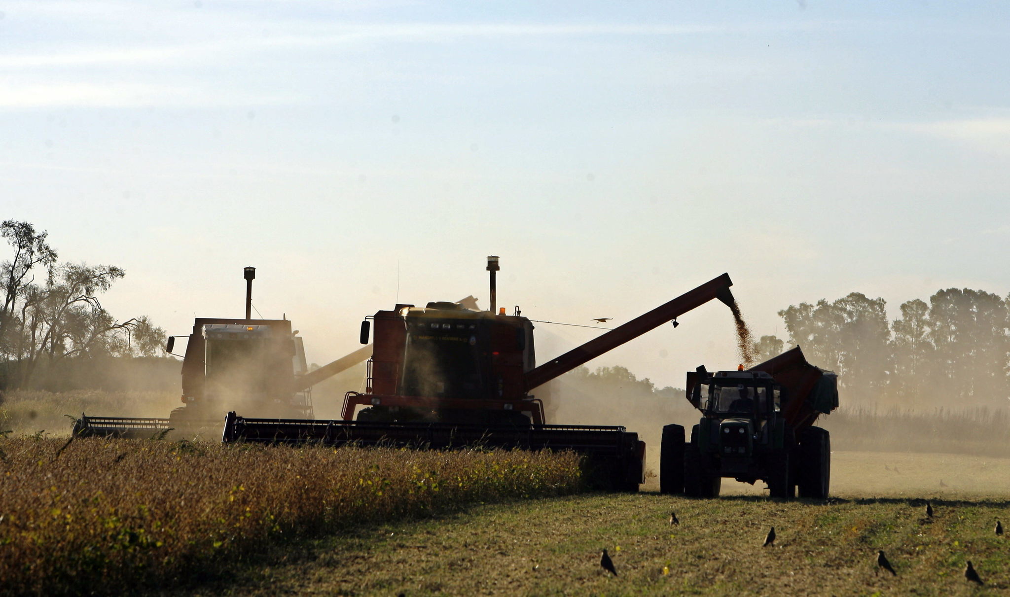 Los agricultores europeos se pasan al turno de noche para combatir el calor