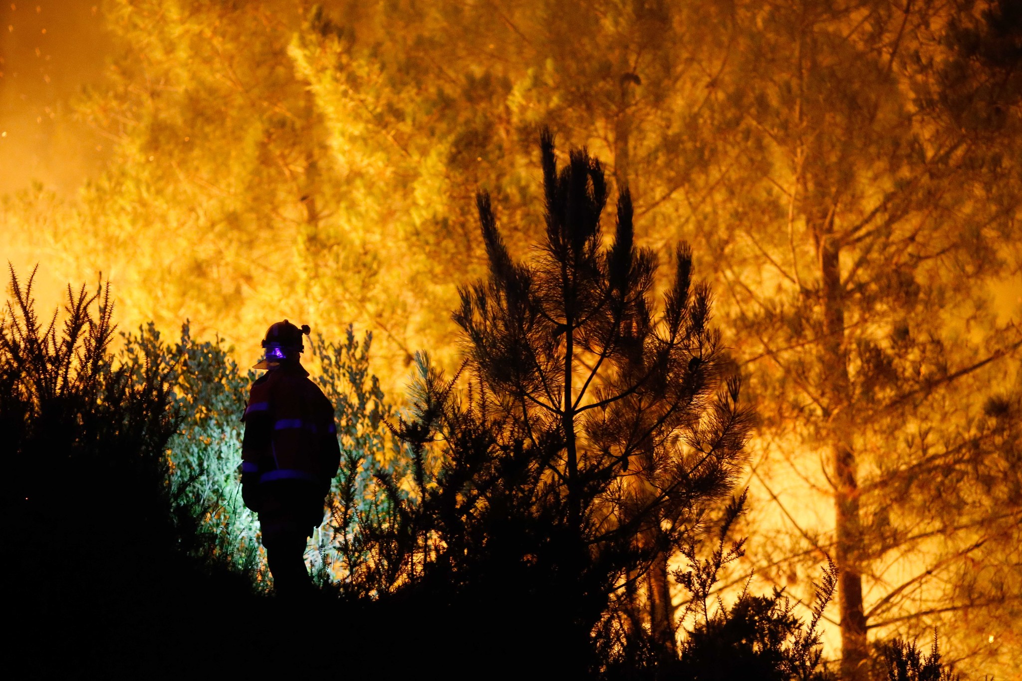 Cinco bulos sobre incendios  que avivan las llamas Los habitantes de los pueblos son los más afectados por las llamas, pero las zonas turísticas y urbanizaciones de grandes ciudades están cada vez más amenazadas. Leer