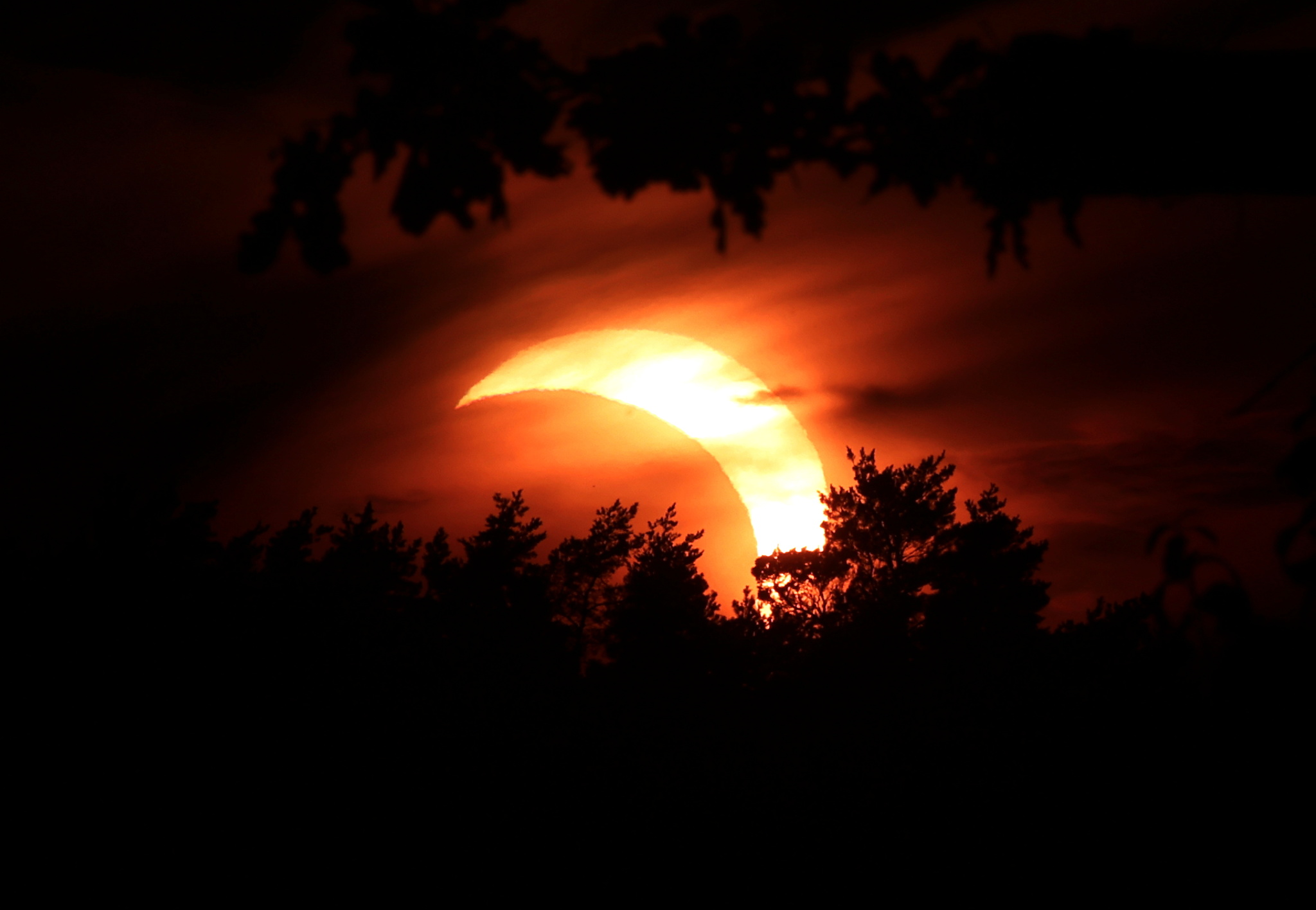 Así vivieron el eclipse los astrónomos: "el mundo necesita más historias como estas"