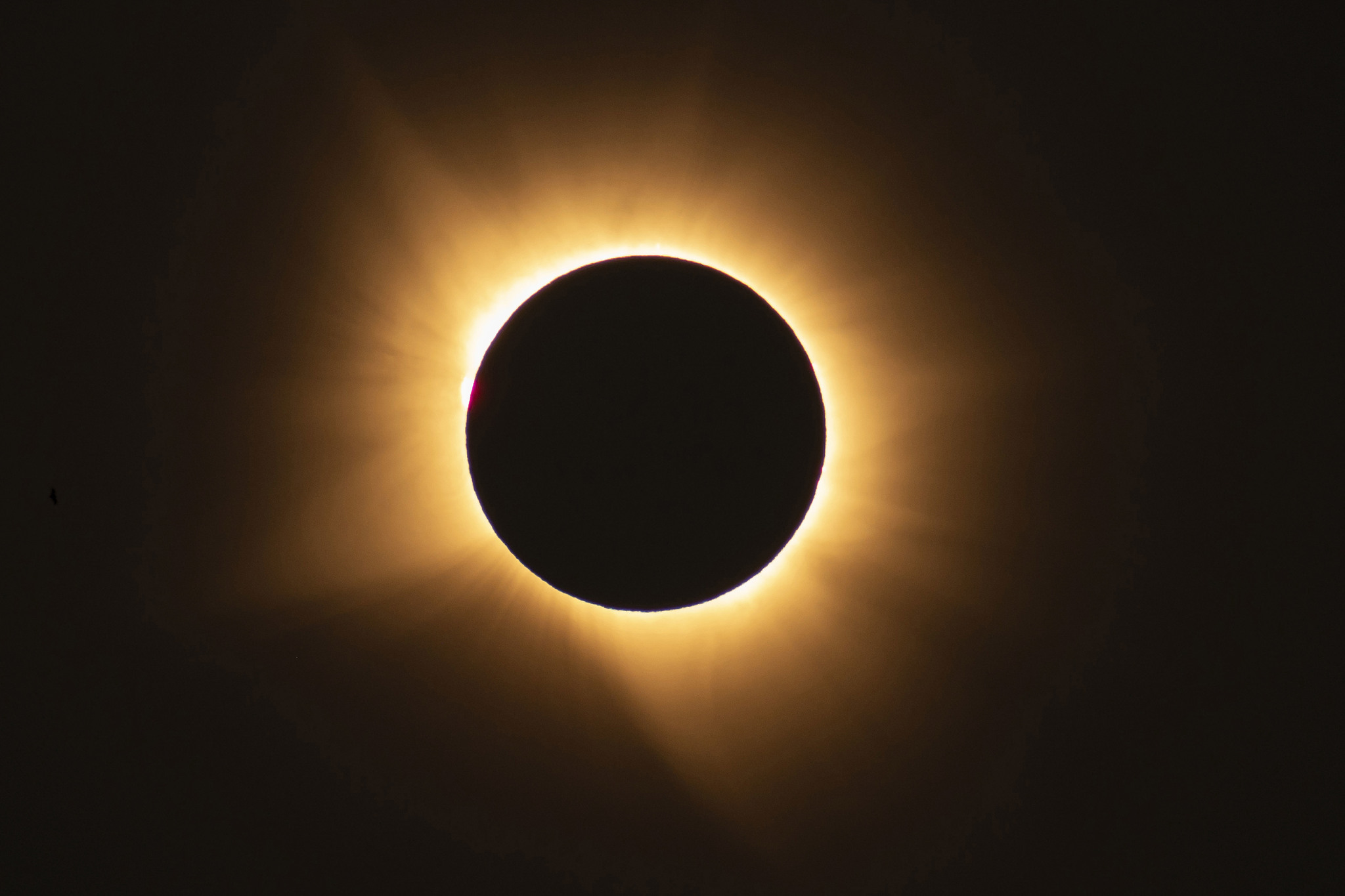 Eclipse en la empresa familiar