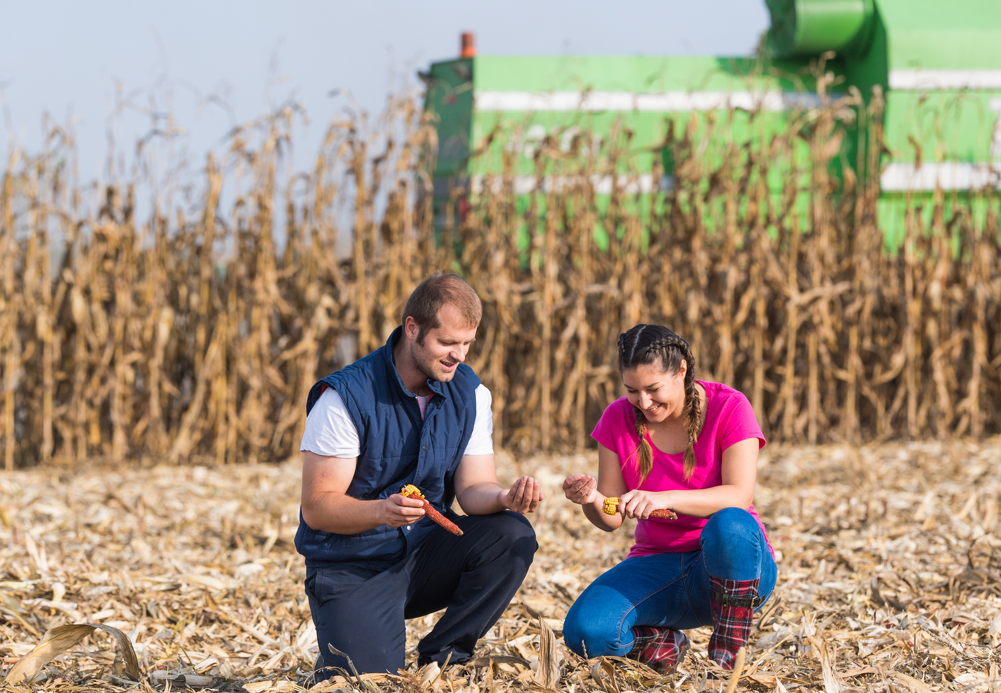 Luz verde de la UE a la producción de alimentos con variaciones genéticas Los científicos aseguran que la evolución en las modificaciones genéticas en plantas ha representado un avance significativo para aumentar la producción en cereales como el maíz. Leer