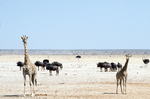 La ONU alerta: el mundo está a punto de superar el límite de los 1,5ºC