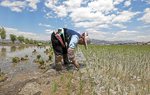Cómo el libre comercio puede protegernos de El Niño