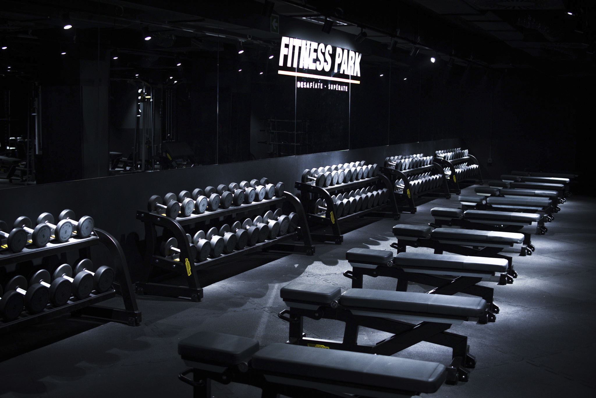 El dueño de VivaGym ofrece cerca de 600 millones por Fitness Park