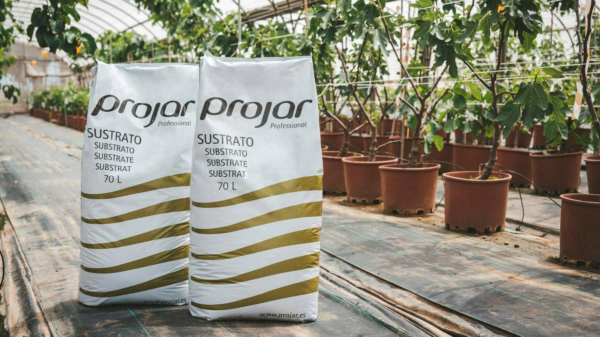 El fondo agrícola de Harvard negocia la compra de Projar