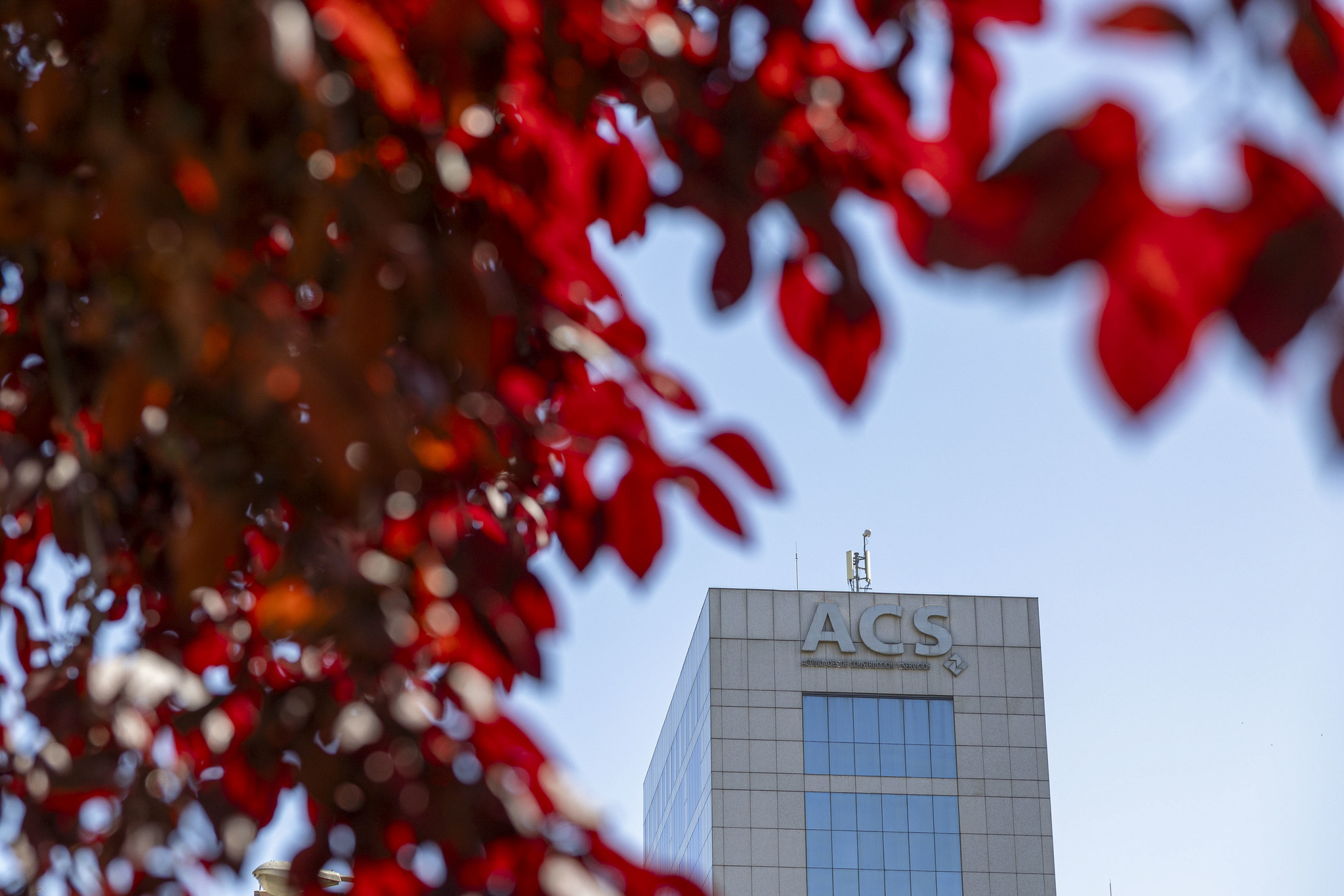 ACS tiene un potencial superior al 40% pese a las dudas en torno a la IA