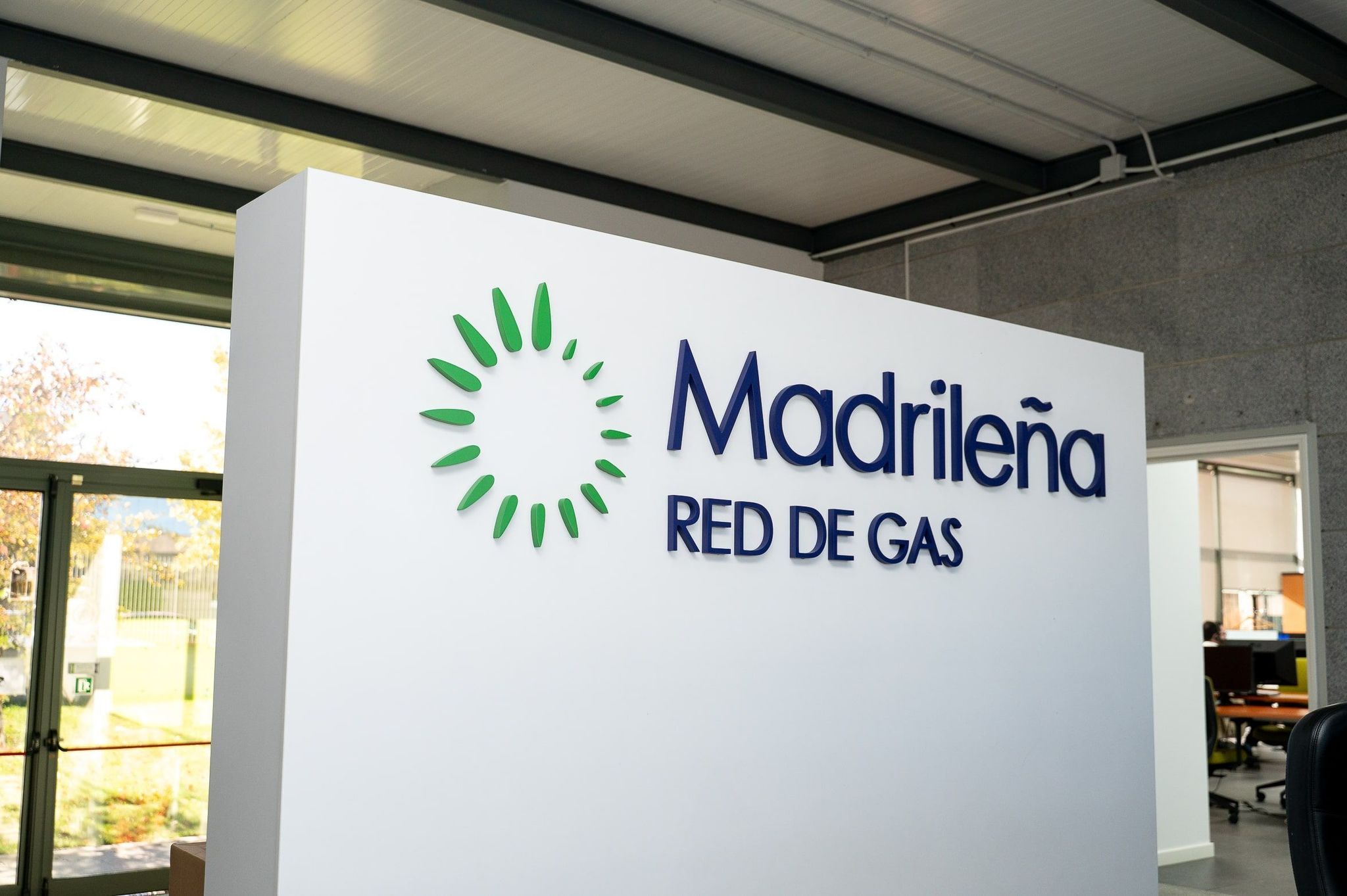 Los socios de Madrileña Red de Gas fichan a Goldman Sachs para su venta