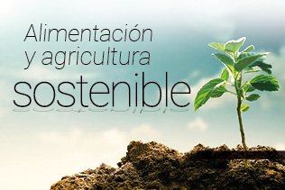 Encuentro Alimentación y agricultura sostenible.