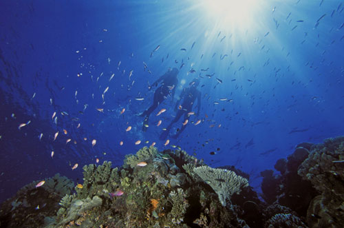 Submarinistas en la barrera de coral