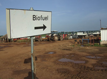 Plantación de The BioFuel Africa Ltd, en Tamale (Ghana) | Foto ActionAid