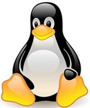 El pingino de Linux, abanderado del 'open source'.