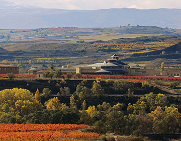 El Museo del Vino Dinasta Vivanco recibe ms de 150.000 visitantes al ao.