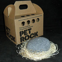 En la dcada de 1970, Gary Dahl se hizo millonario vendiendo piedras como si fueran mascotas, un ejemplo de ocurrencia que parece absurda pero que no lo es si se sabe ejecutar.