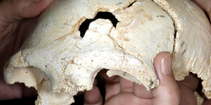 El ADN humano ms antiguo de la historia, encontrado en Atapuerca