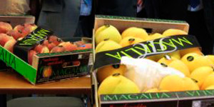 Los agricultores piden a Lobn la retirada urgente de fruta