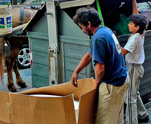 LOS RETOS DE URUGUAY  En la imagen, un nio trabajando en 2012 junto a un adulto en la recoleccin de basura, en el centro de Montevideo, la capital de Uruguay. La pobreza afecta al 11,5% de la poblacin de un pas con los mismos habitantes que Madrid.